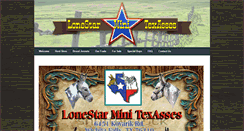 Desktop Screenshot of lonestarminitexasses.com